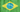 MadisonRey Brasil